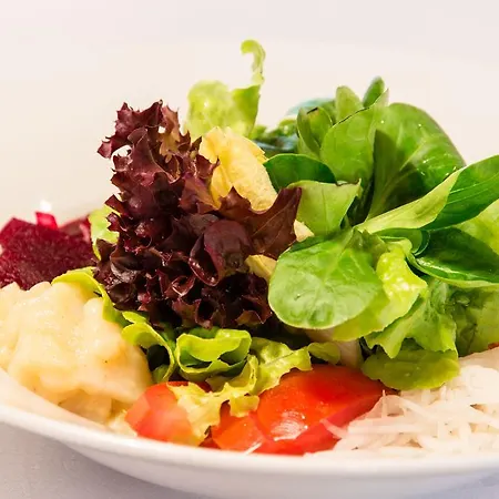 Vendégház Restaurant Papagei St. Gallen